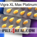 Vigra Xl Max Platinum cialis2